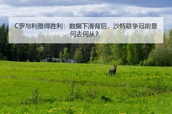 C罗与利雅得胜利：数据下滑背后，沙特联争冠前景何去何从？